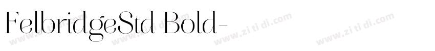 FelbridgeStd Bold字体转换 FelbridgeStd Bold字体转换